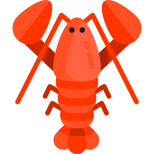 Maine Bus Rental Icon